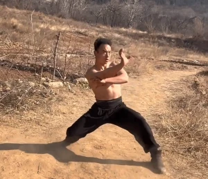 Top Benefits of Bak Mei Quan: Enhance Your Martial Arts Skills and Overall Well-being
