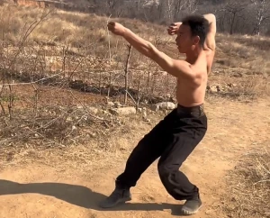The Philosophy of Bak Mei: Inner Strength, Balance, and Martial Harmony