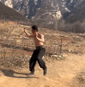Bak Mei vs Wing Chun: A Comprehensive Comparison