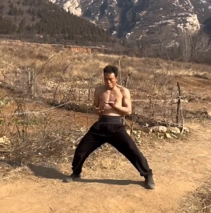 Bak Mei Training: A Comprehensive Guide to Mastering this Martial Art