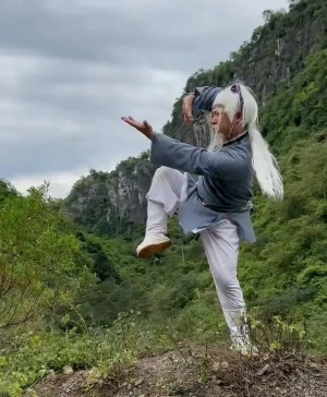 White Eyebrow vs Tai Chi Chuan: 5 Deadly Differences in Real Combat