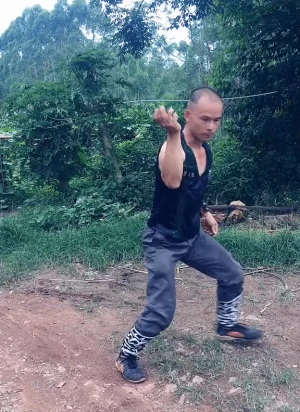 Mastering Bak Mei Techniques: A Path to Self-Defense and Martial Arts Excellence
