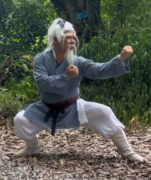 Mastering Chinese Kung Fu: The Power of Persistence