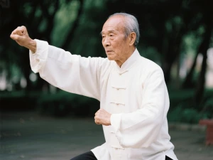 The Origin of Bak Mei Quan: A Comprehensive Look into the Roots of White Eyebrow Kung Fu