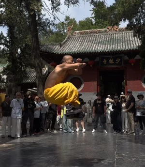 The Benefits of Ditang Quan: A Comprehensive Guide