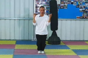 Mastering Bak Mei Kung Fu (Cross Fist) - Movement 2: Step-by-Step Guide