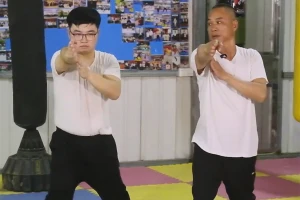 Mastering Bak Mei Kung Fu (Cross Fist) - Movement 3: Step-by-Step Guide