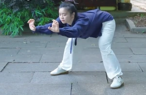 Yoga for Back Pain Relief: Unleash Your Inner Tiger and Conquer Desk-Job Aches!