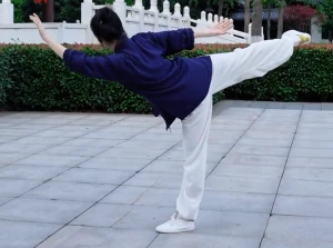 Effective Yoga Stretches for Lower Back Pain: Incorporating Taiyi Youlongquan for Holistic Wellness